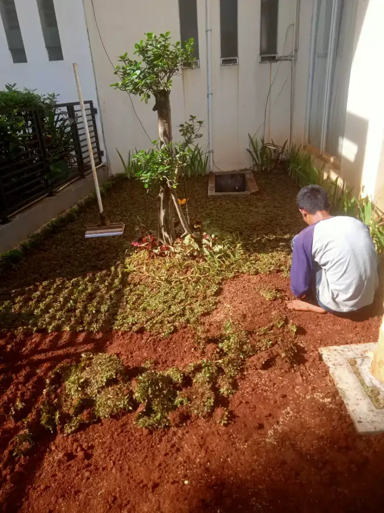 Tukang taman tukang rumput