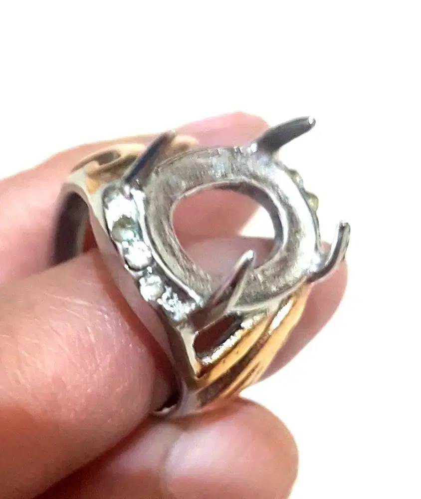 Cincin Titanium Kerangkanya