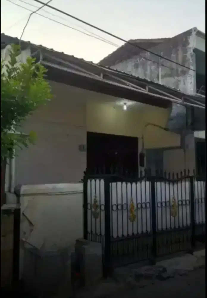 Dikontrakkan Rumah Anti Banjir (Nego) Rp 21.000.000/Pertahun