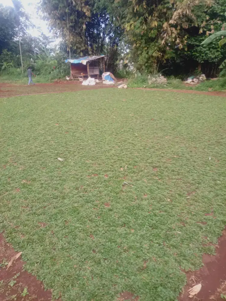 Tukang rumput taman hijau