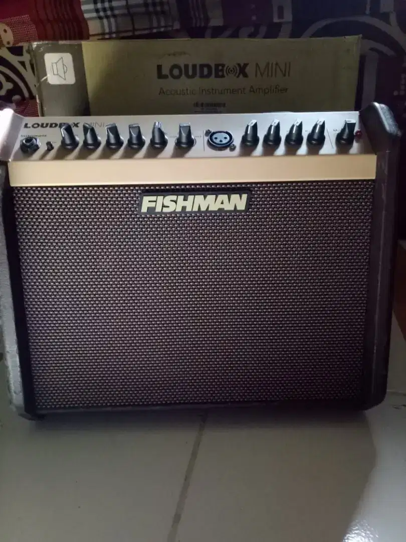 FISHMAN LOUDBOX MINI ACOUSTIC AMP PRO