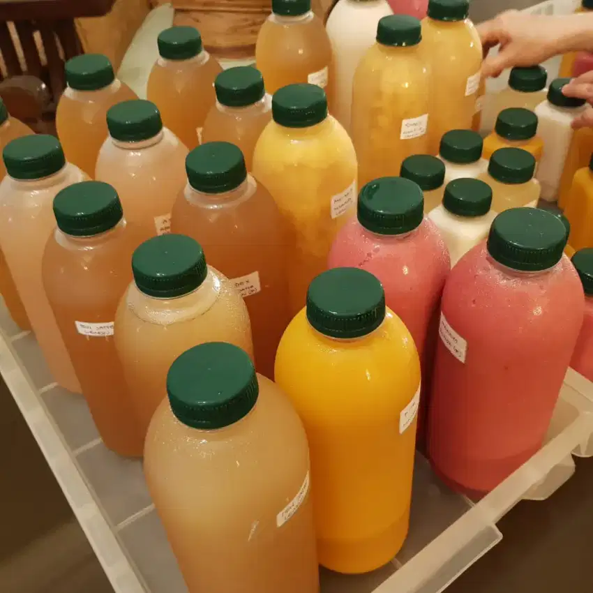 juice frozen homemade