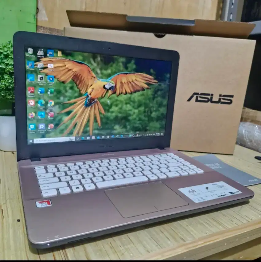 Jual Laptop Asus X441B - Komputer - 916589279