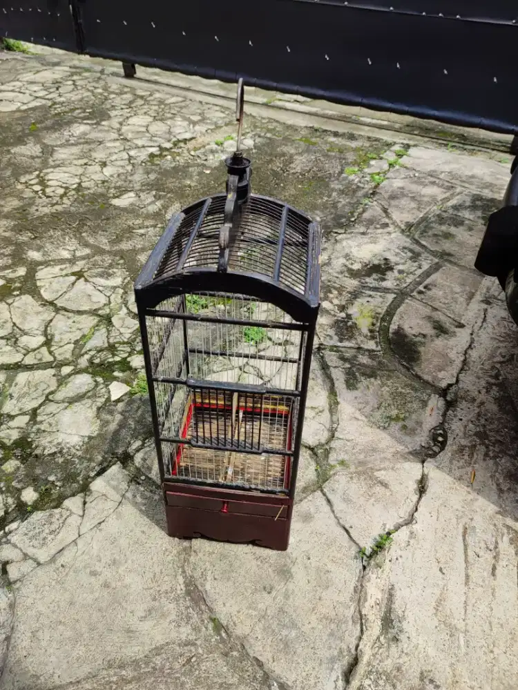 2 dua Kandang Burcil Ruji Fiber harga NETTTTT