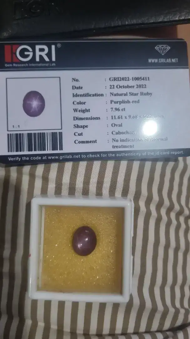 Dijual ruby star nte