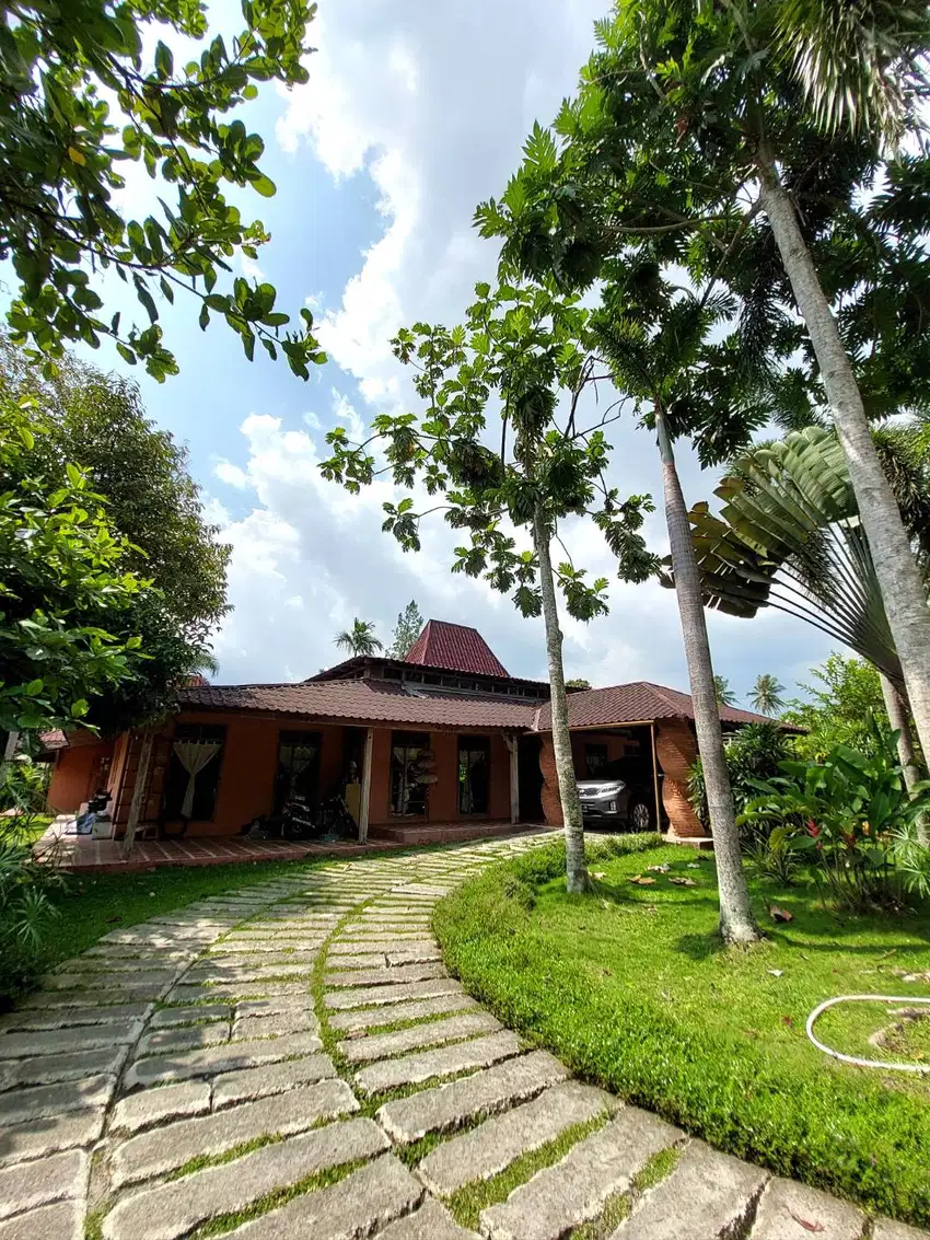 Villa Joglo Tropis dengan Kolam Renang dekat Jalan Palagan