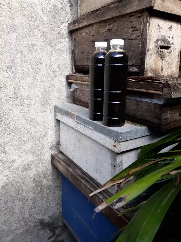 Madu Murni Hitam Pahit Propolis (Garansi)