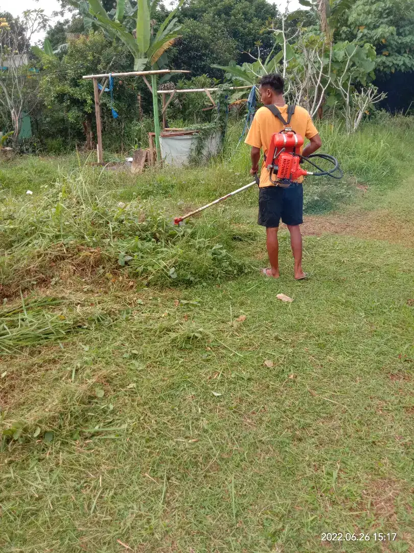 Potong rumput menggunakan mesin rumput