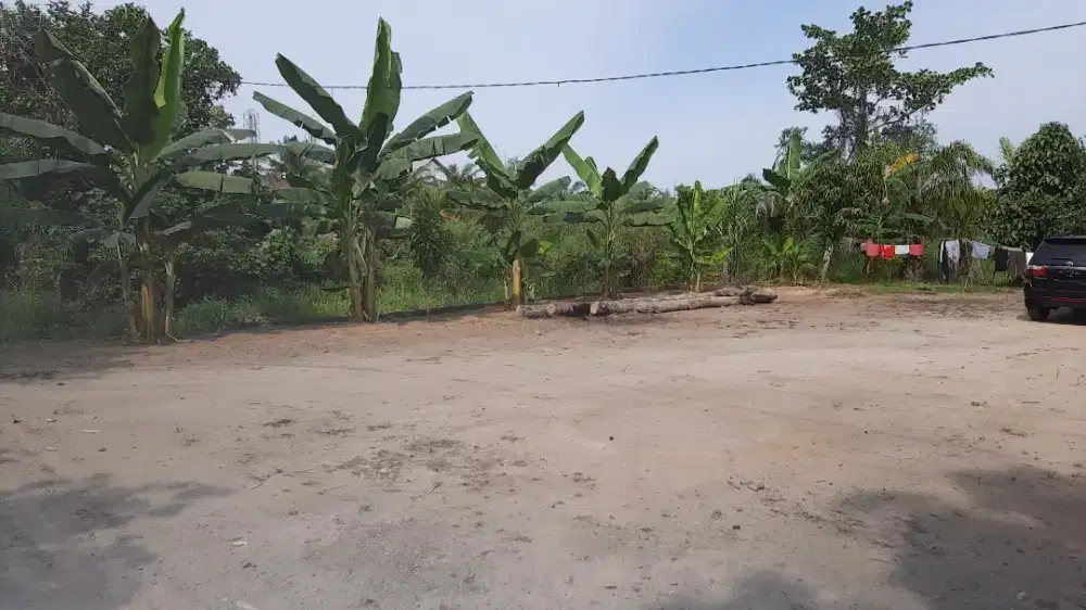 Disewakan rumah dan tanah strategis dan murah