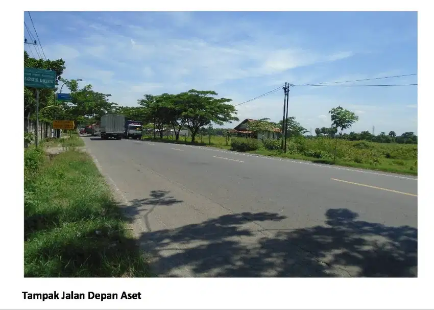 Tanah Raya Babat Tuban 2,2ha,Wedang,Tuban