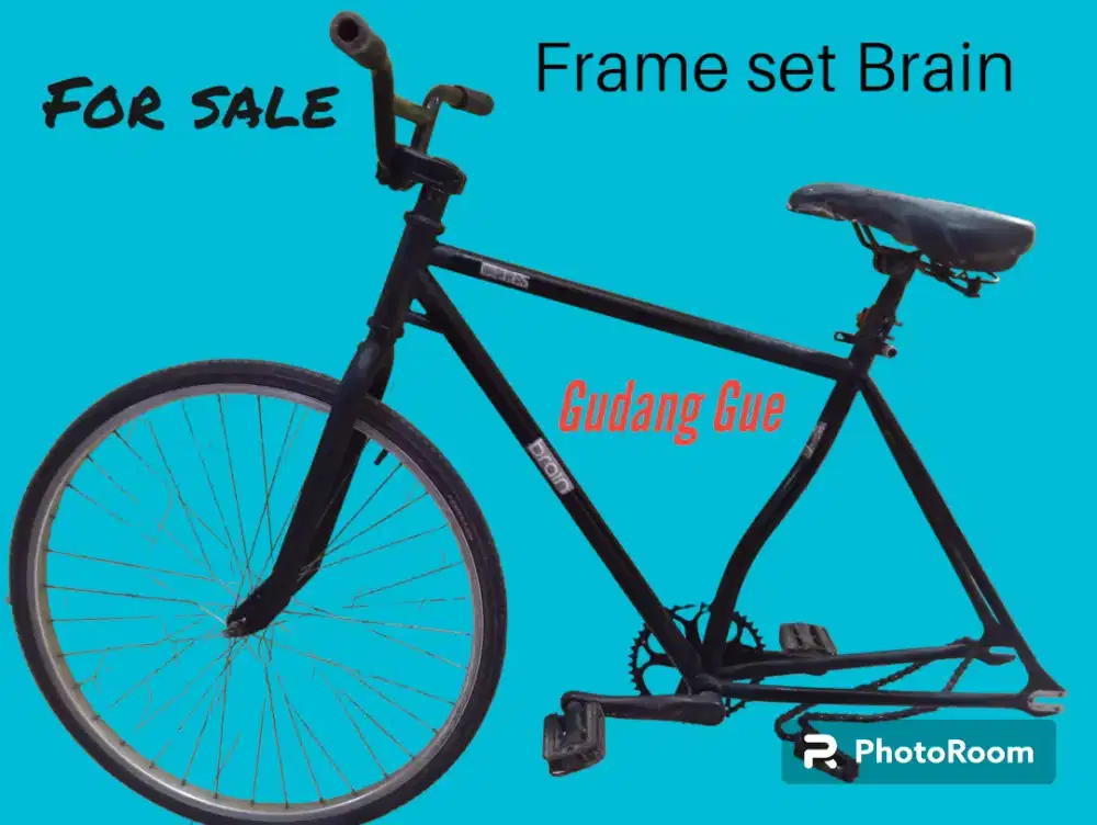 Frame brain online fixie