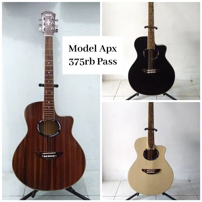 GITAR AKUSTIK APX, COLECLARK DAN CORT BULAT