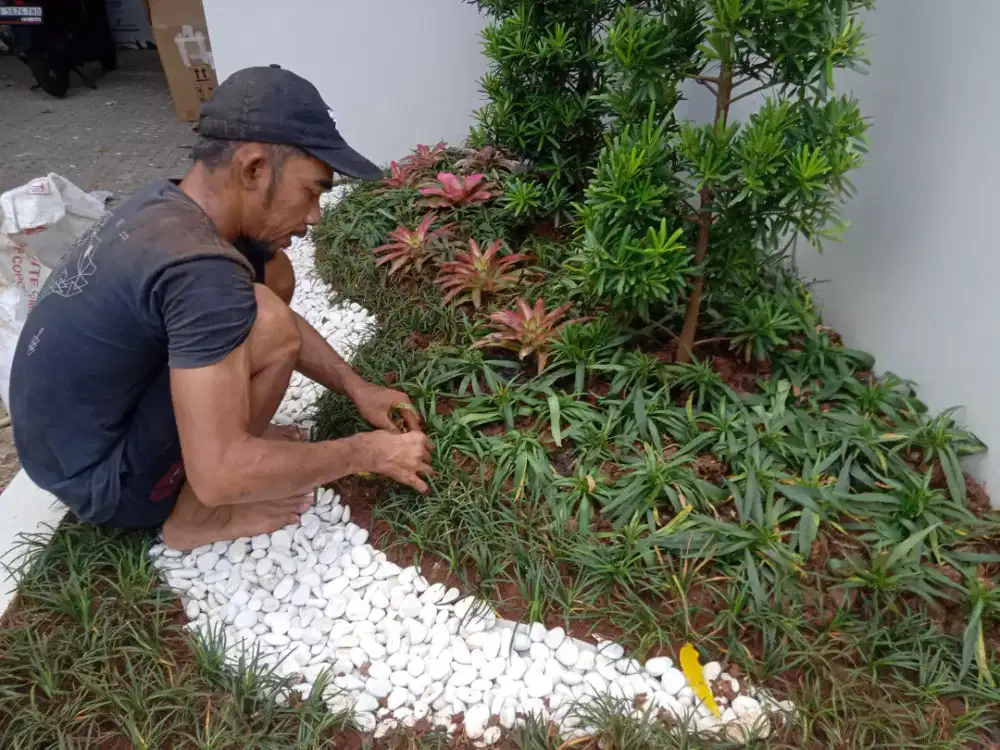 Pembuat berbagai jenis taman indah
