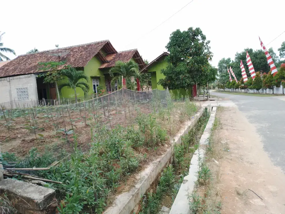 Dijual tanah pekarangan cocok untuk rumah tinggal dan usaha
