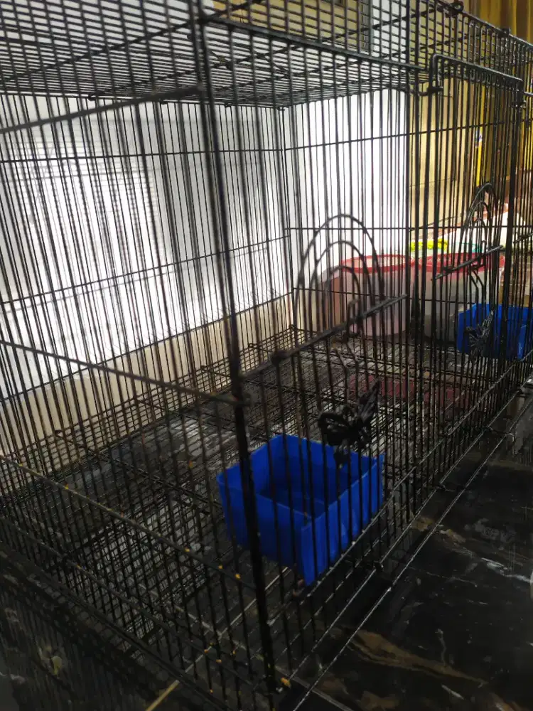 Cepuk/wadah makan,minum hewan