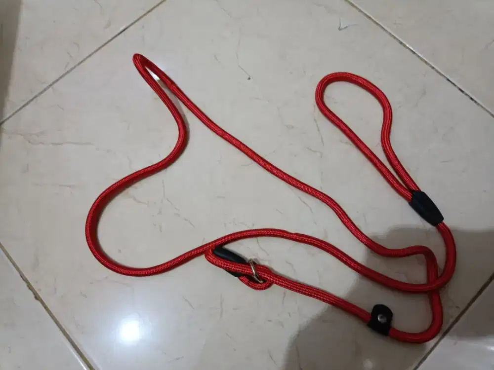 Tali Anjing (Dog Leash) Slip Leash