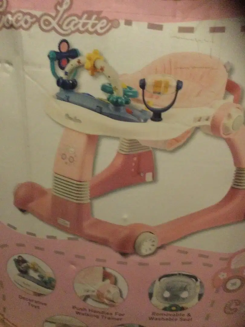 baby walker bgs