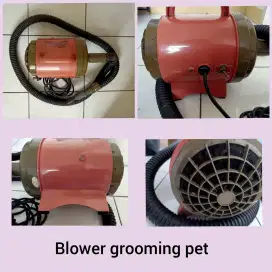 Blower grooming pet