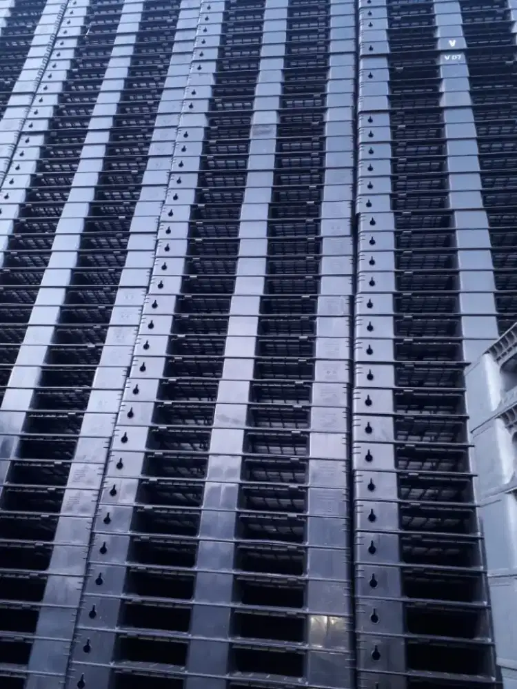 Pallet plastik baru murah