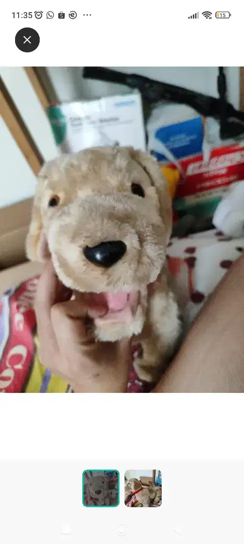 Boneka anjing anak besar bisa ditunggangin