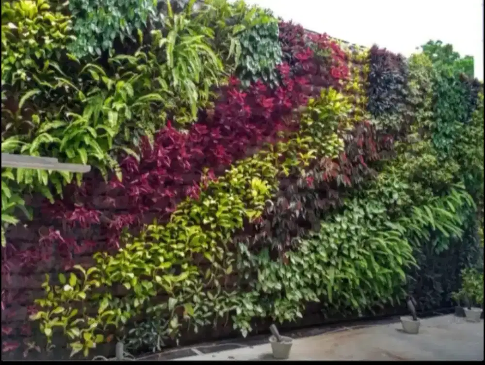 Taman vertikal garden