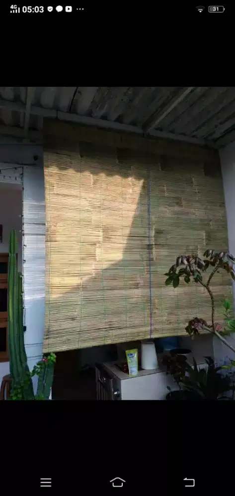 Jual Tirai bambu