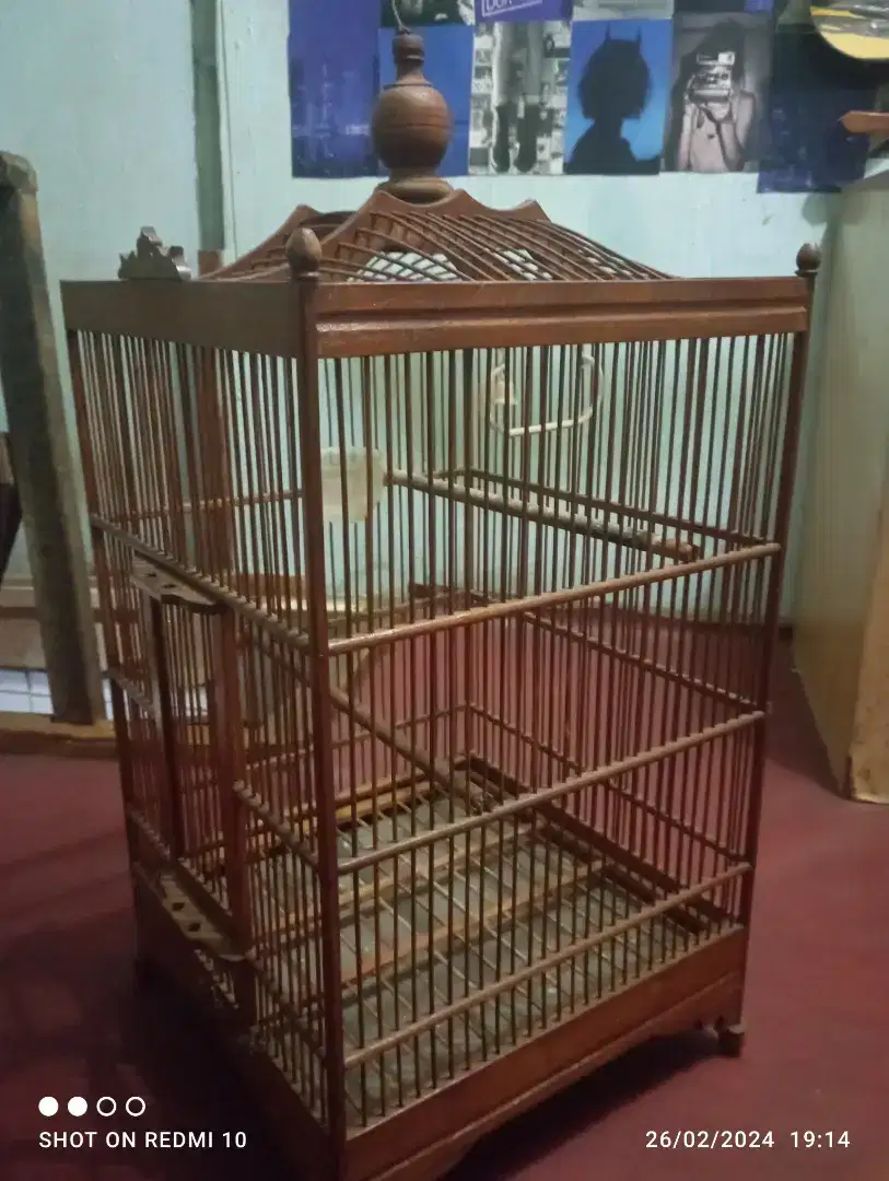 Kandang Burung Beli dari jawa Tengah