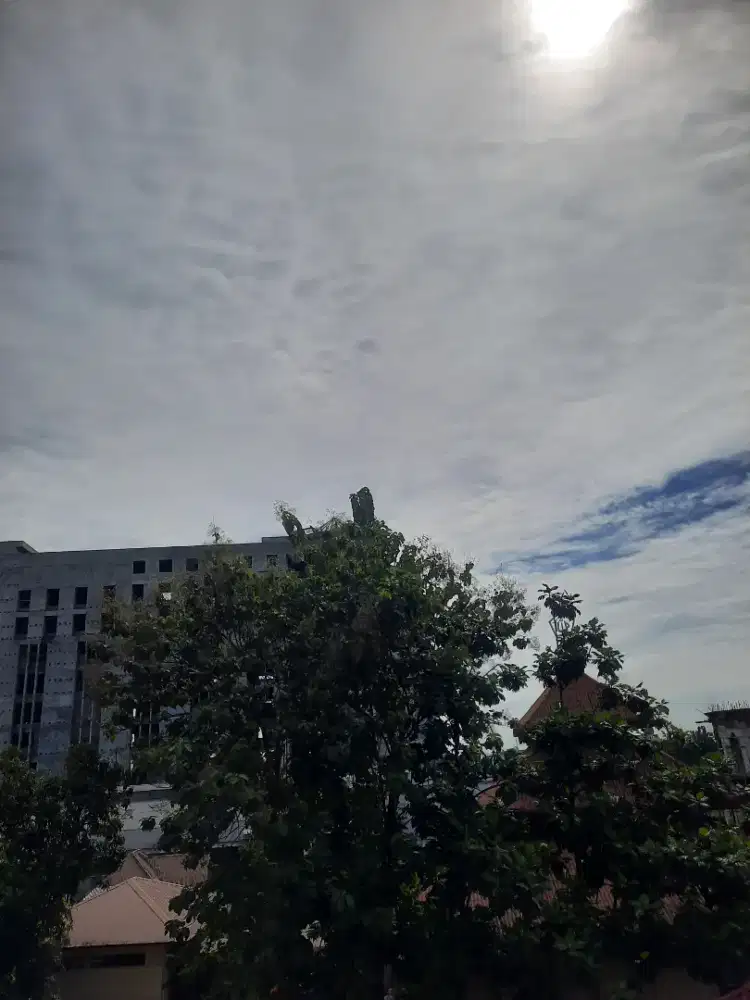 Udin tukang bangunan