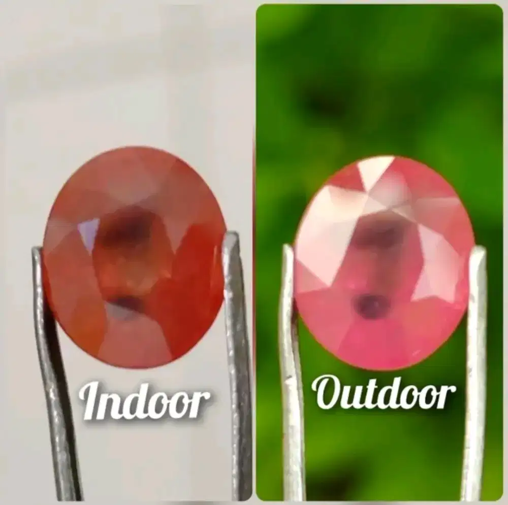 Natural Bicolor Sapphire (Padparadscha Mixed Blue) 5.44 Ct Sertipikat