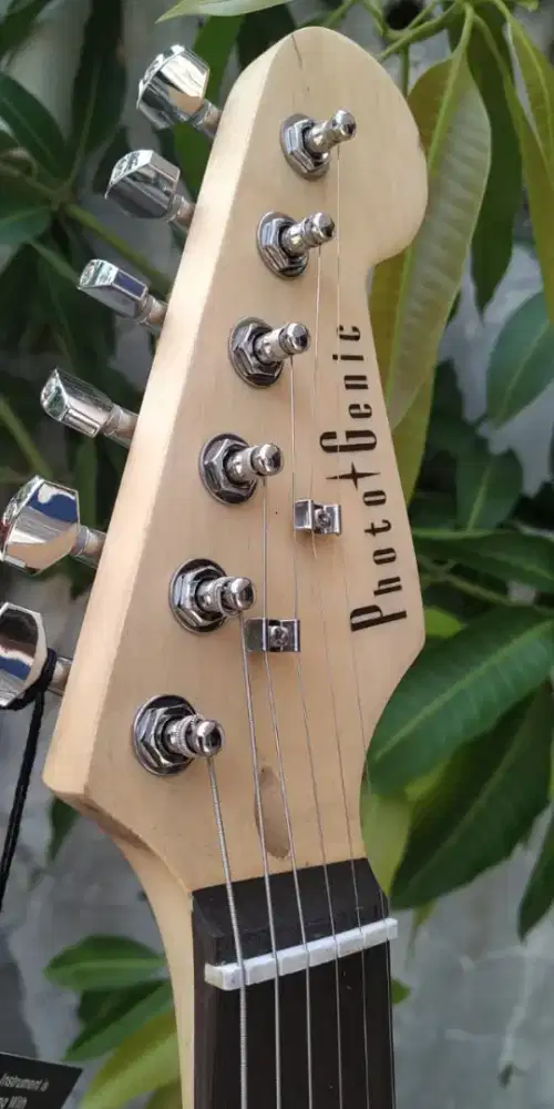 gitar stratocaster model photogenic single pickup neck middle bridge