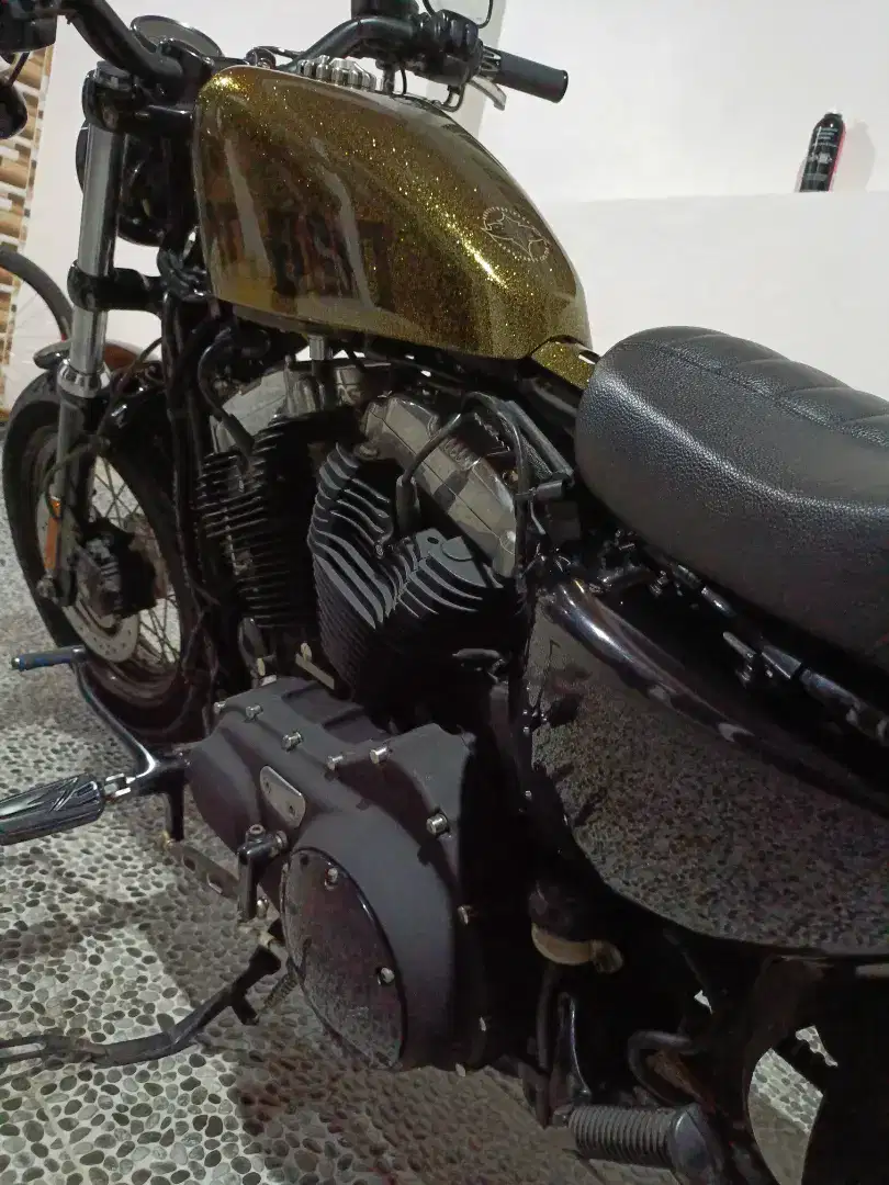 Sportster 48 2011