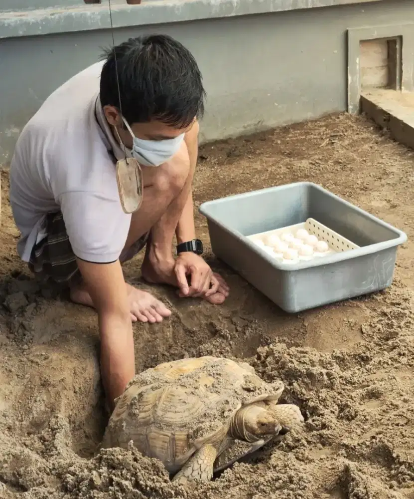 LOWONGAN KERJA PACKING URUS HEWAN