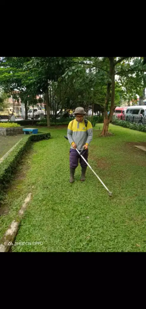 Jasa potong rumput,perawatan dan pembuatan taman rumah