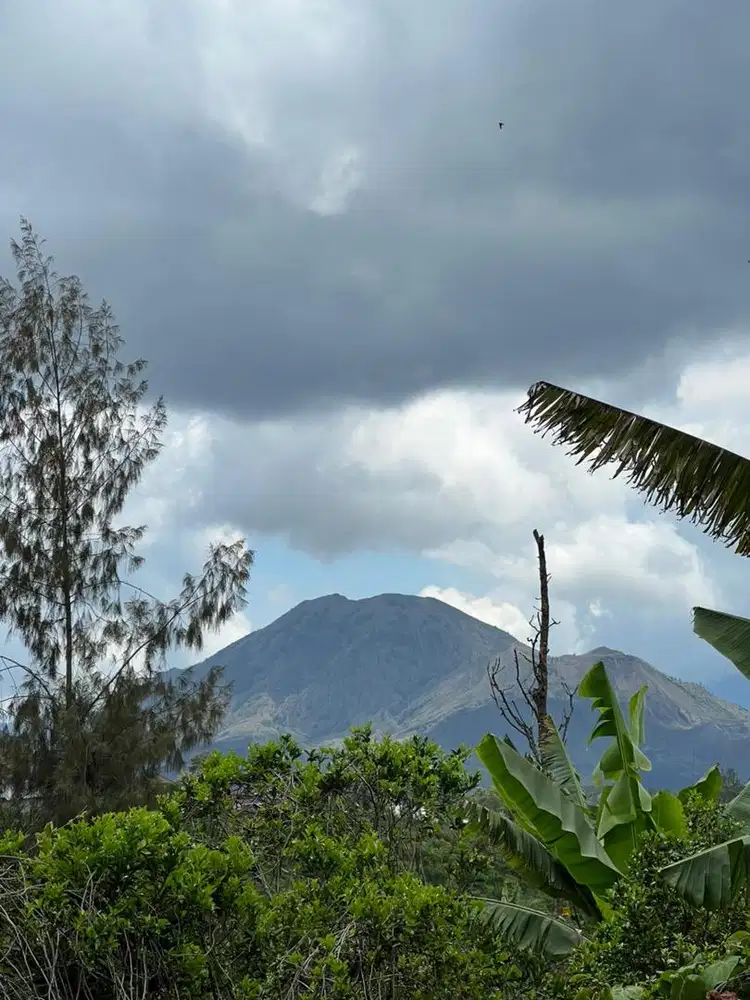 Dijual Tanah strategis dekat jalan raya dan view gunung di Kintamani
