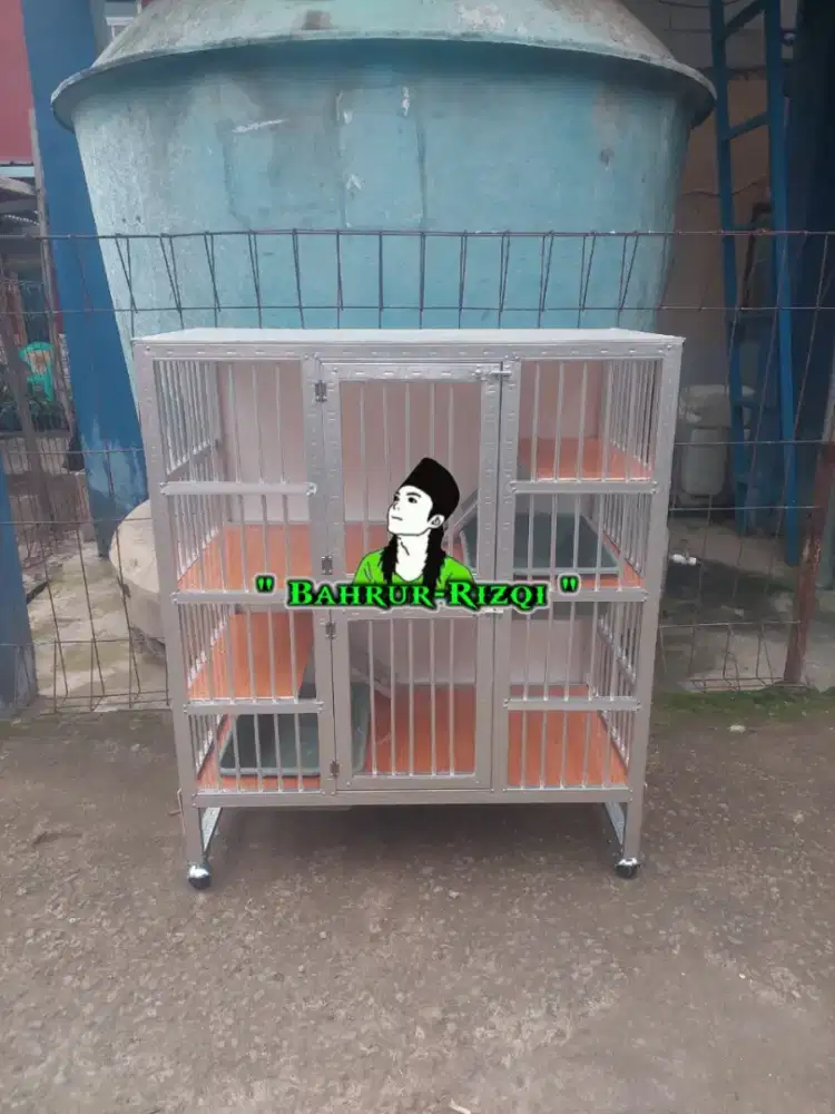 Kandang reptile iguana dan kucing