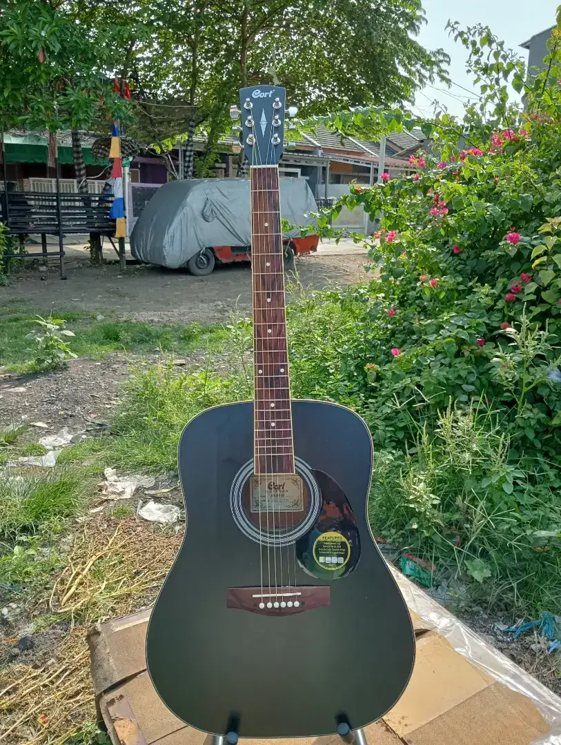 Gitar akustik cort jumbo tanam besi aktif