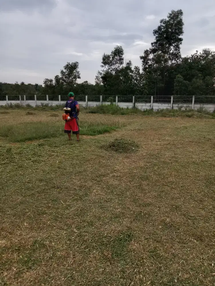 Jasa potong rumput