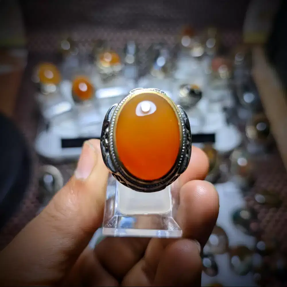 Batu Natural Raflesia Bengkulu