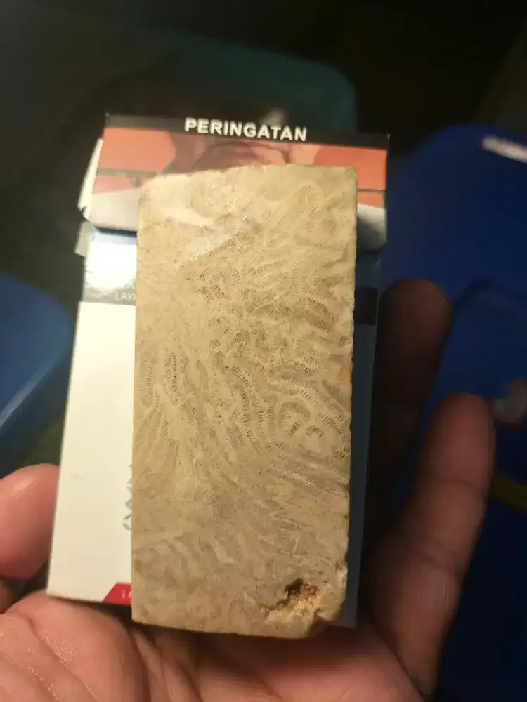 Yg minat bongkahan batu lipan dan tratai