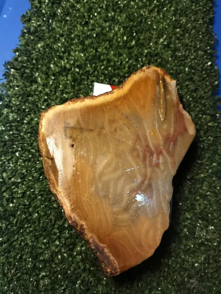 Yg minat batu serat lipan