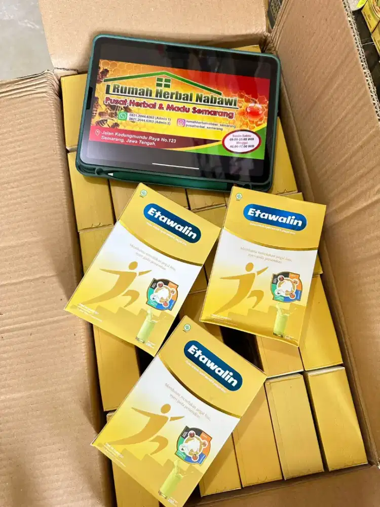 ETAWALIN SUSU KAMBING ETAWA PEGAL LINU ASAM URAT