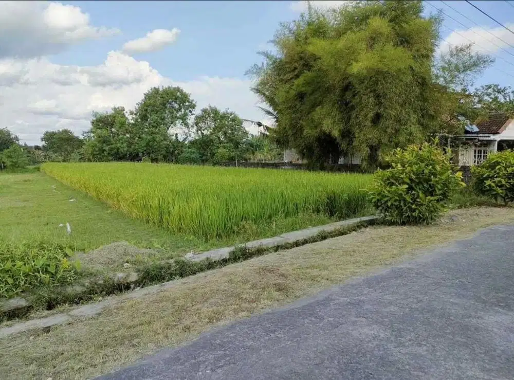 Dijual sawah SHM Utara pemilik Rocket Chicken Sidomoyo Godean