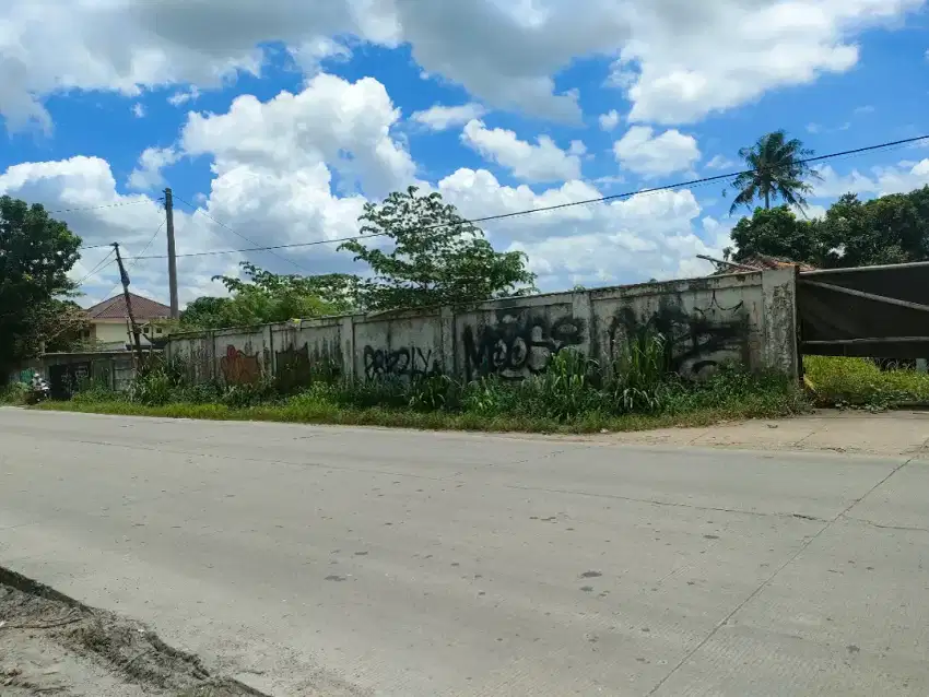 Tanah di sewakan luas 1300 m lokasi pinggir jl pemuda raya gn Sindur