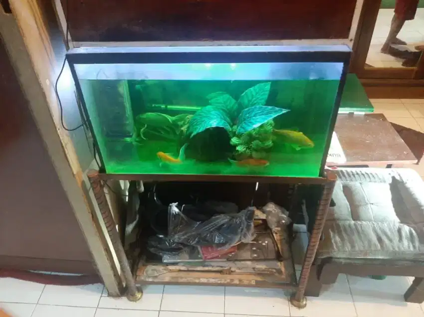 Aquarium lengkap dengan tiang dudukannya