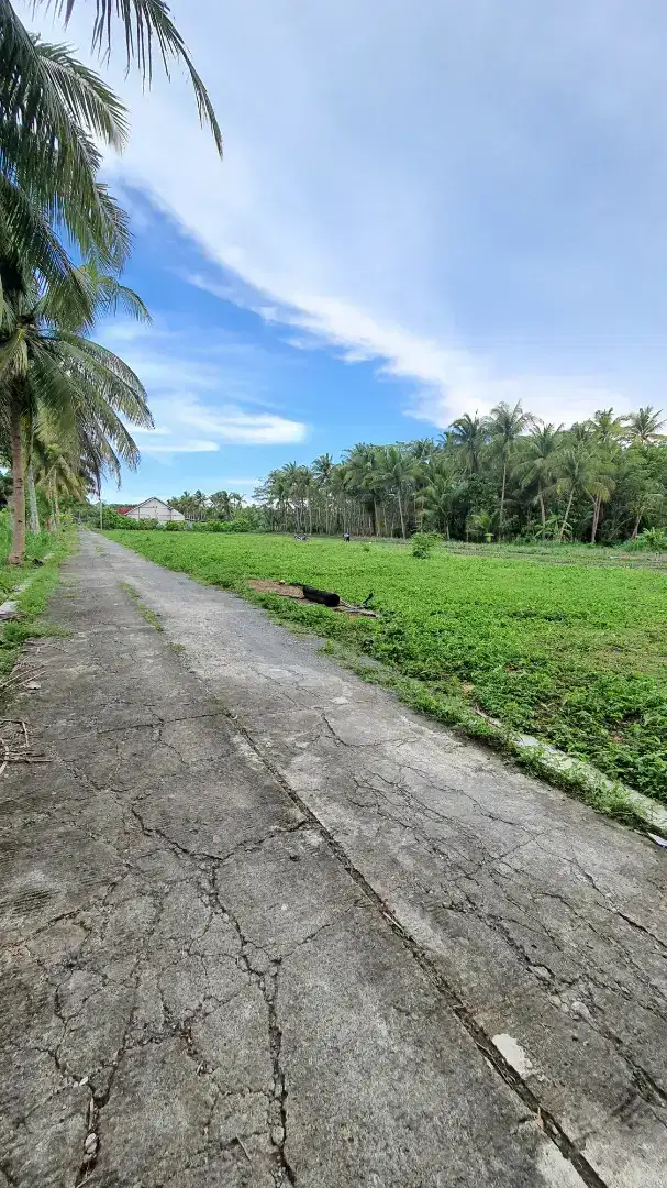 Tanah SHMP 900m2 LD 20 Dekat Kota Wates cocok untuk Kost