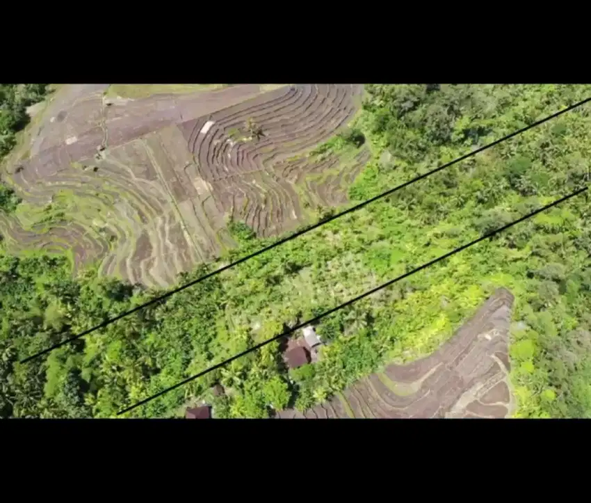 Tanah produktif di Medewi, Kebun Kelapa & Pisang