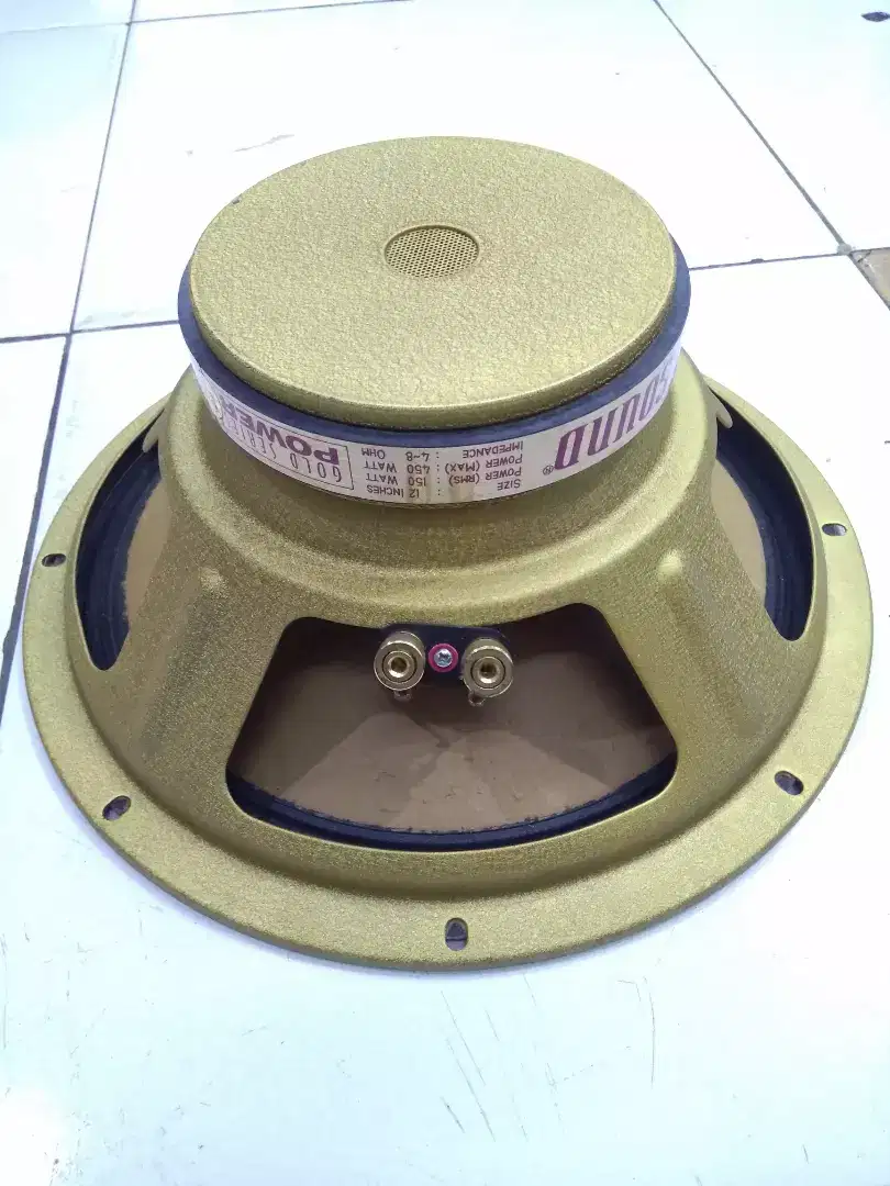 Speaker spiker 12 inch