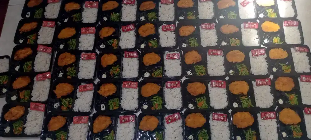 Jual Nasi Bento Chicken Katsu,migor chicken katsu dll