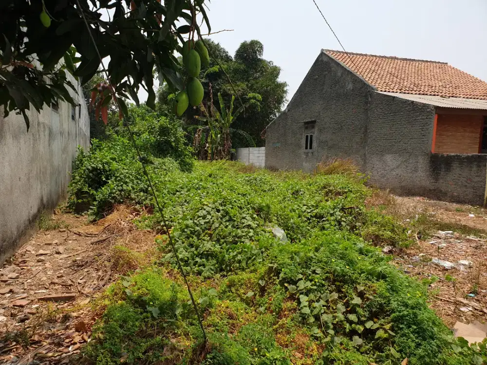 Tanah kosong cocok untuk rumah atau kontrakan