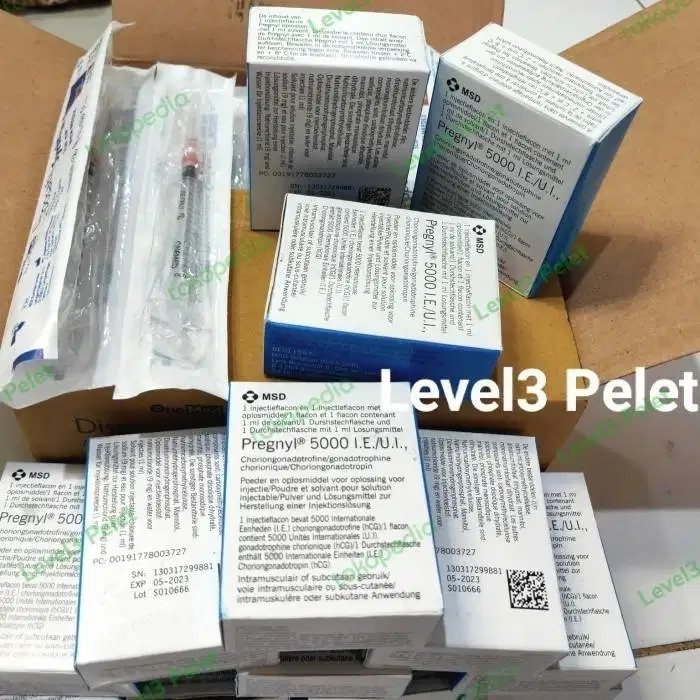 Vitamin ikan Pregnyl IU 5000 original